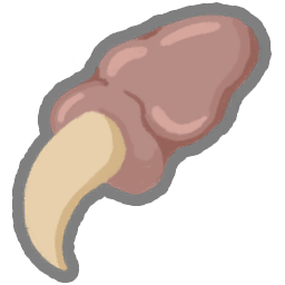 Pael's Claw relic icon